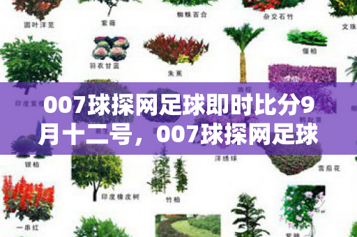 007球探网足球即时比分9月十二号，007球探网足球即时比分，掌握比赛动态，畅享足球盛宴