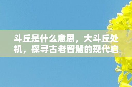 斗丘是什么意思，大斗丘处机，探寻古老智慧的现代启示