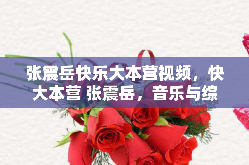 张震岳快乐大本营视频，快大本营 张震岳，音乐与综艺的跨界碰撞