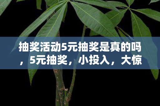 抽奖活动5元抽奖是真的吗，5元抽奖，小投入，大惊喜的娱乐新体验