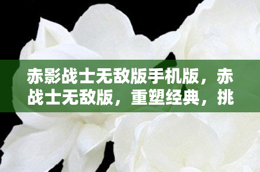 赤影战士无敌版手机版，赤战士无敌版，重塑经典，挑战无限