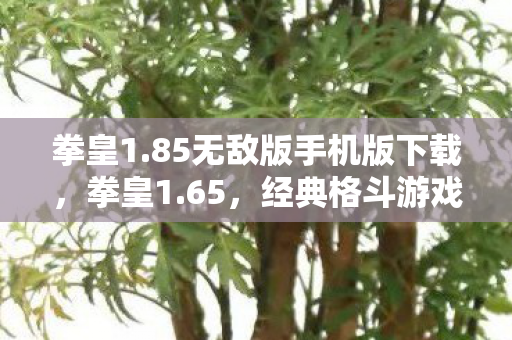 拳皇1.85无敌版手机版下载，拳皇1.65，经典格斗游戏的全新篇章