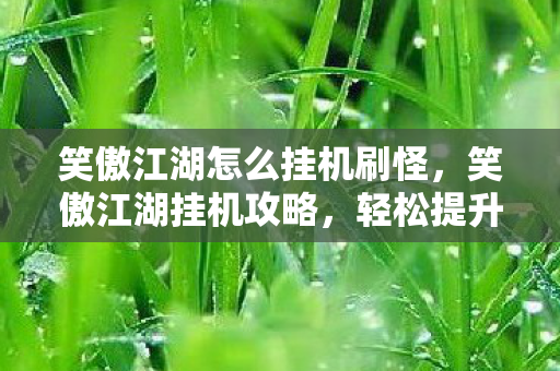 笑傲江湖怎么挂机刷怪，笑傲江湖挂机攻略，轻松提升角色实力