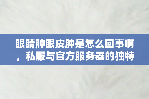 眼睛肿眼皮肿是怎么回事啊，私服与官方服务器的独特魅力，探索游戏世界的不同维度