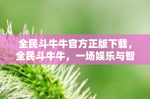全民斗牛牛官方正版下载，全民斗牛牛，一场娱乐与智慧的碰撞