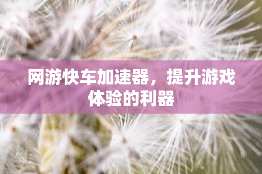 网游快车加速器，提升游戏体验的利器