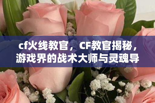 cf火线教官，CF教官揭秘，游戏界的战术大师与灵魂导师