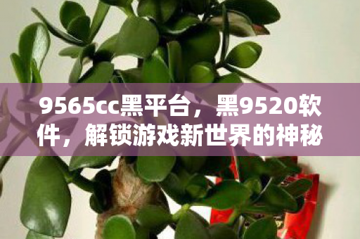 9565cc黑平台，黑9520软件，解锁游戏新世界的神秘钥匙