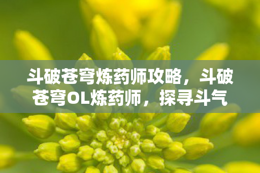 斗破苍穹炼药师攻略，斗破苍穹OL炼药师，探寻斗气大陆上的神秘职业