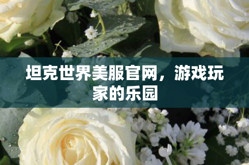 坦克世界美服官网,游戏玩家的乐园 坦克世界美服官网,游戏玩家的乐园