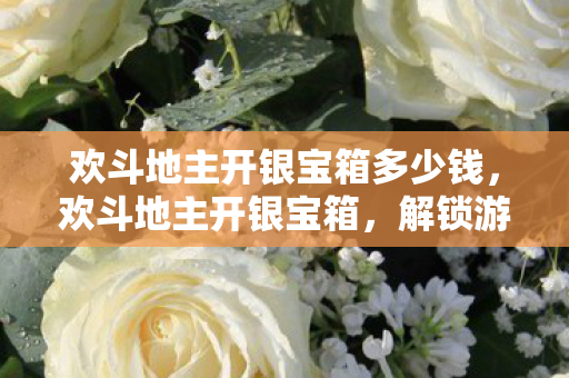 欢斗地主开银宝箱多少钱，欢斗地主开银宝箱，解锁游戏新乐趣，探索无限可能