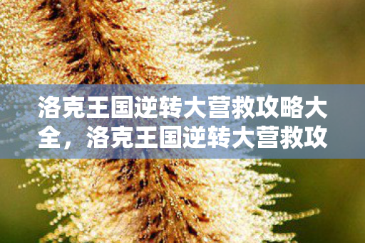 洛克王国逆转大营救攻略大全，洛克王国逆转大营救攻略