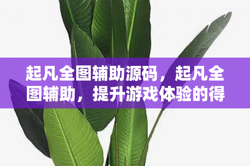 起凡全图辅助源码，起凡全图辅助，提升游戏体验的得力助手