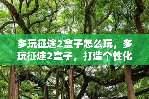 多玩征途2盒子怎么玩，多玩征途2盒子，打造个性化游戏体验