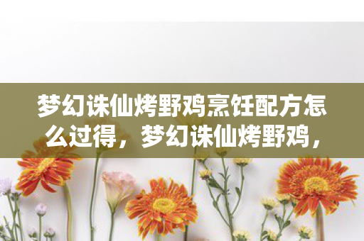 梦幻诛仙烤野鸡烹饪配方怎么过得，梦幻诛仙烤野鸡，解锁隐藏食谱，美味与回忆的交织