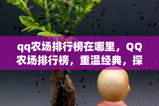 qq农场排行榜在哪里，QQ农场排行榜，重温经典，探索农场新玩法