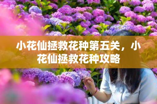 小花仙拯救花种第五关，小花仙拯救花种攻略