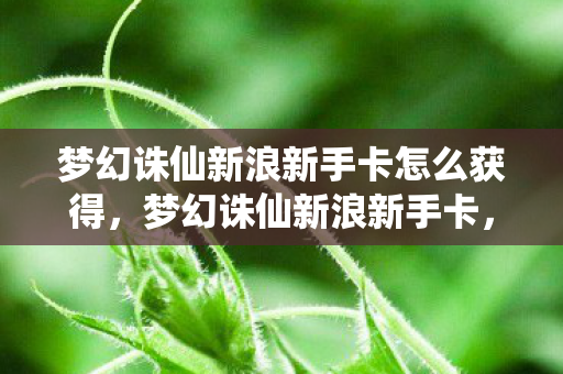 梦幻诛仙新浪新手卡怎么获得，梦幻诛仙新浪新手卡，开启你的仙侠之旅