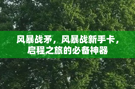 风暴战矛，风暴战新手卡，启程之旅的必备神器