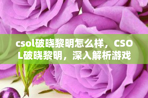 csol破晓黎明怎么样，CSOL破晓黎明，深入解析游戏内的未解之谜与BUG