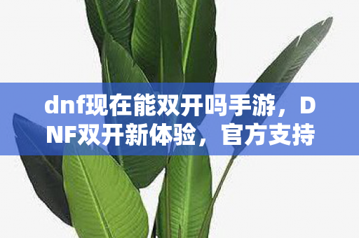 dnf现在能双开吗手游，DNF双开新体验，官方支持与多账号便捷操作