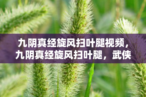 九阴真经旋风扫叶腿视频，九阴真经旋风扫叶腿，武侠世界中的绝世武技