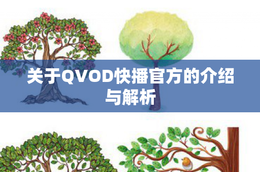 关于QVOD快播官方的介绍与解析