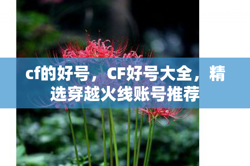 cf的好号，CF好号大全，精选穿越火线账号推荐