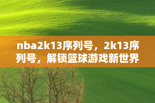 nba2k13序列号，2k13序列号，解锁篮球游戏新世界的钥匙