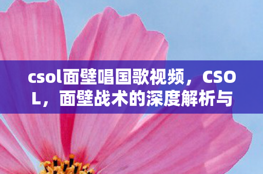 csol面壁唱国歌视频，CSOL，面壁战术的深度解析与实战应用