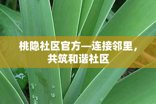 桃隐社区官方—连接邻里，共筑和谐社区