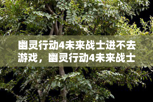 幽灵行动4未来战士进不去游戏，幽灵行动4未来战士无法进入的解决策略