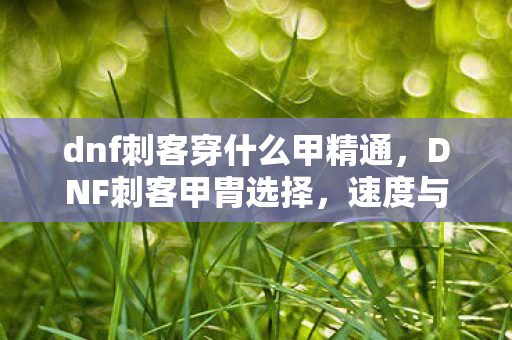 dnf刺客穿什么甲精通，DNF刺客甲胄选择，速度与生存并重