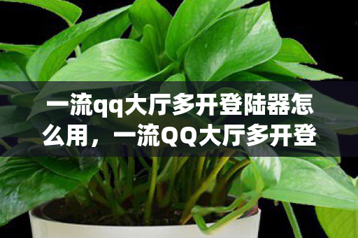 一流qq大厅多开登陆器怎么用，一流QQ大厅多开登陆器，高效便捷，打造多账号管理新体验