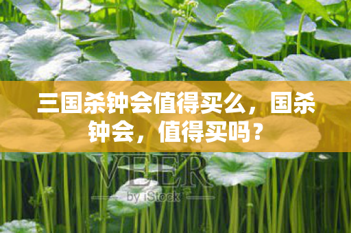三国杀钟会值得买么，国杀钟会，值得买吗？
