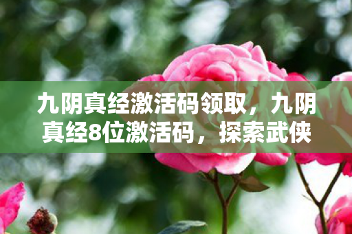 九阴真经激活码领取，九阴真经8位激活码，探索武侠世界的神秘钥匙