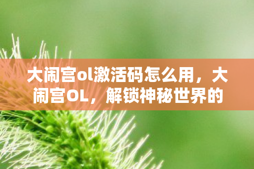 大闹宫ol激活码怎么用，大闹宫OL，解锁神秘世界的钥匙—激活码全解析