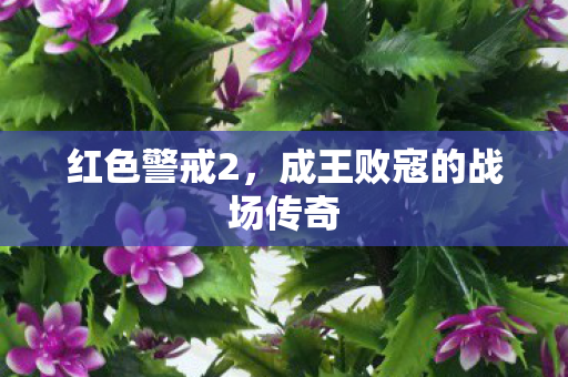 红色警戒2，成王败寇的战场传奇