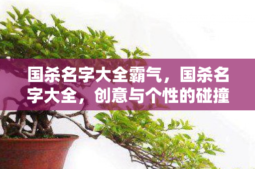 国杀名字大全霸气，国杀名字大全，创意与个性的碰撞