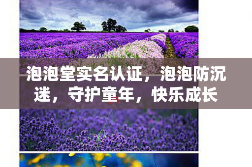 泡泡堂实名认证，泡泡防沉迷，守护童年，快乐成长