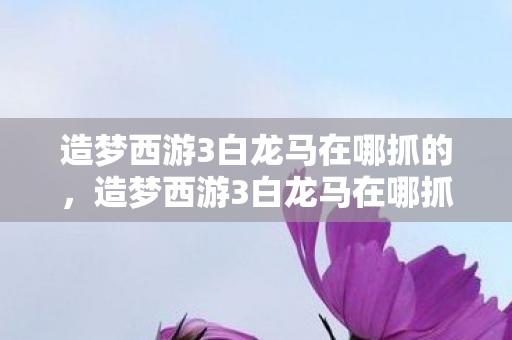 造梦西游3白龙马在哪抓的，造梦西游3白龙马在哪抓