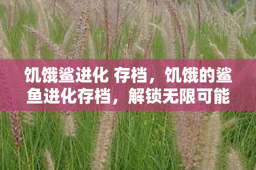 饥饿鲨进化 存档，饥饿的鲨鱼进化存档，解锁无限可能的冒险之旅