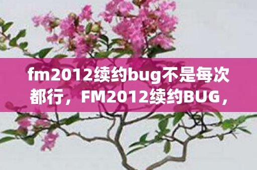 fm2012续约bug不是每次都行，FM2012续约BUG，游戏内外的双重挑战