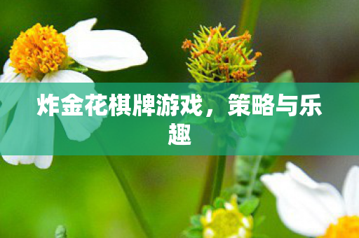 炸金花棋牌游戏，策略与乐趣