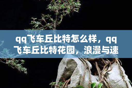 qq飞车丘比特怎么样，qq飞车丘比特花园，浪漫与速度的激情碰撞