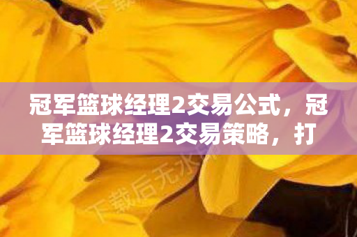 冠军篮球经理2交易公式，冠军篮球经理2交易策略，打造顶级球队，赢得荣耀之战