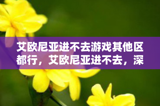 艾欧尼亚进不去游戏其他区都行，艾欧尼亚进不去，深度解析游戏服务器连接问题
