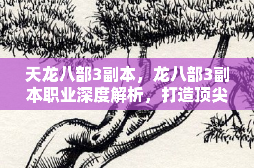 天龙八部3副本，龙八部3副本职业深度解析，打造顶尖团队的关键要素