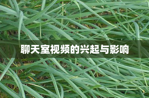 聊天室视频的兴起与影响 聊天室视频的兴起与影响