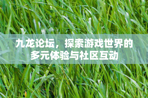 九龙论坛，探索游戏世界的多元体验与社区互动